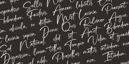 Cathelink Font Poster 2