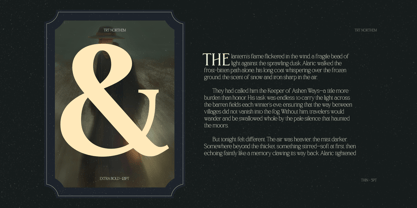 TRT Northem Font Poster 12