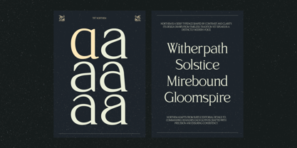 TRT Northem Font Poster 9