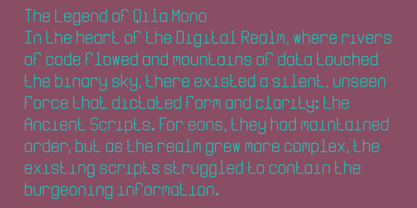 Qila Mono Font Poster 4