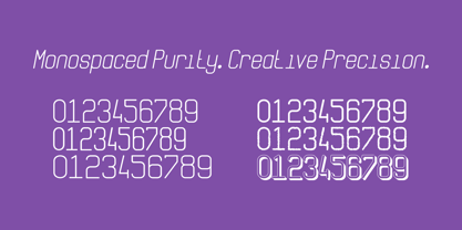 Qila Mono Font Poster 5