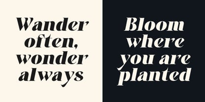 Aver Magera Font Poster 2