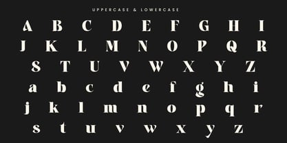 Aver Magera Font Poster 10