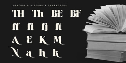 Aver Magera Font Poster 12