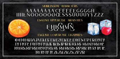 Cocktail Party Font Poster 5