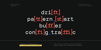 TRT Interval Font Poster 5