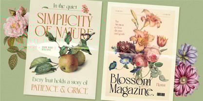 Esarolin Glamour Font Poster 7