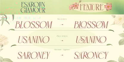 Esarolin Glamour Font Poster 9