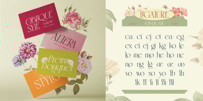 Esarolin Glamour Font Poster 8