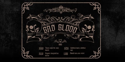 Enathica Font Poster 8