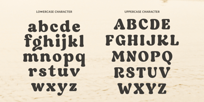 Wage Font Poster 11