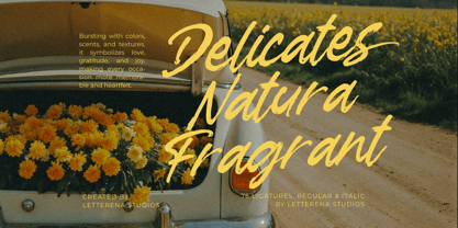 Garden Solland Font Poster 11