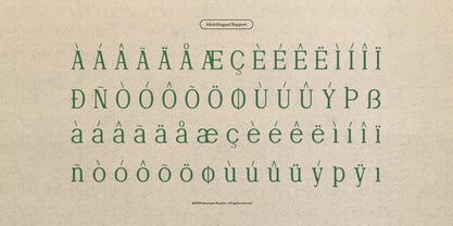 Defilao Vertes Font Poster 11