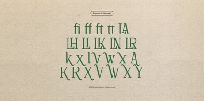 Defilao Vertes Font Poster 12