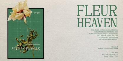Defilao Vertes Font Poster 5