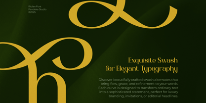 Riolan Font Poster 2
