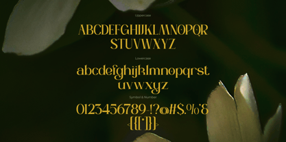 Riolan Font Poster 9