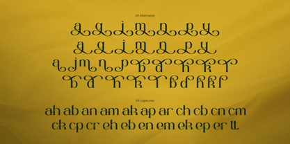 Riolan Font Poster 8