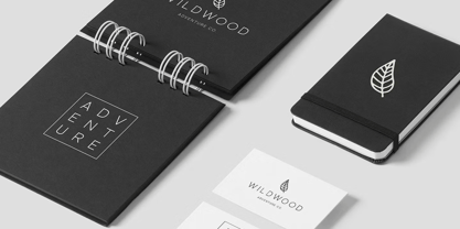 Money Penny Font Poster 5