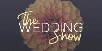 Money Penny Font Poster 7