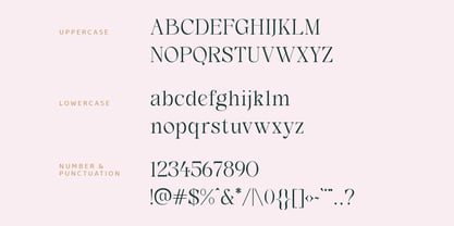 DKS Hillant Font Poster 4