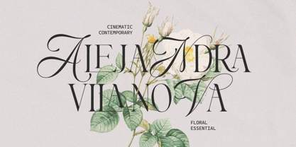 Neutral Dreamin Font Poster 4