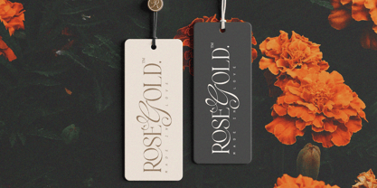 Neutral Dreamin Font Poster 8