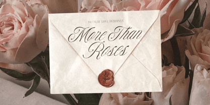 Comport Beauty Font Poster 9