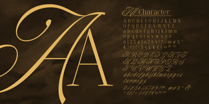 Comport Beauty Font Poster 10