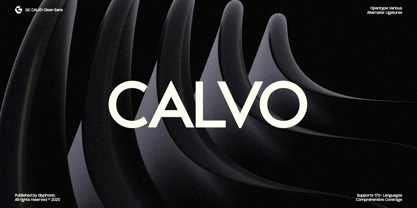 GC Calvo Font Poster 1