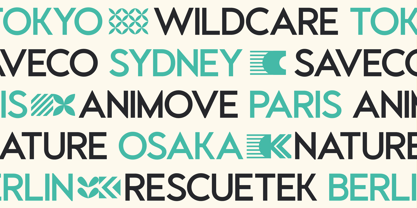 GC Calvo Font Poster 8