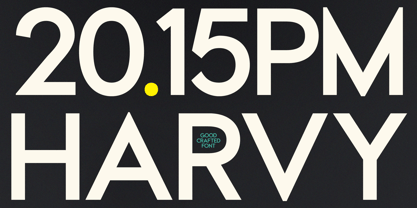 GC Calvo Font Poster 9