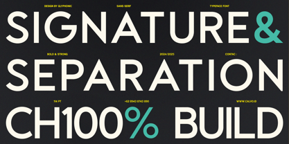GC Calvo Font Poster 6