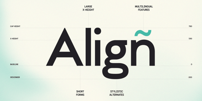 GC Calvo Font Poster 7