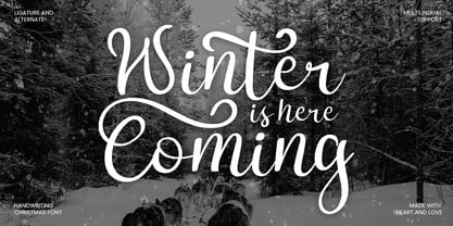 Merry Whimsy Font Poster 9