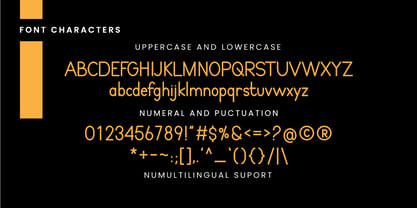 Monotrax Font Poster 5