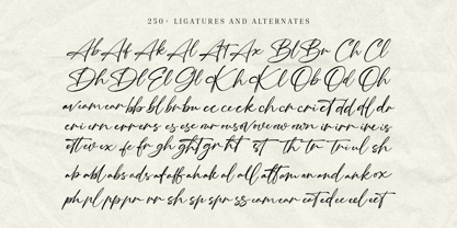 Southwest Partisan Font Poster 3