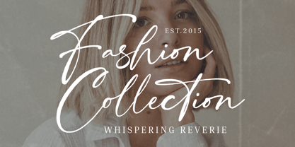 Southwest Partisan Font Poster 7