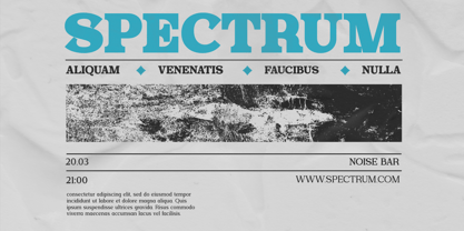 Foermality Serif Font Poster 7