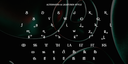 Foermality Serif Font Poster 9