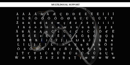 Foermality Serif Font Poster 10