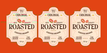 Dravica Font Poster 13