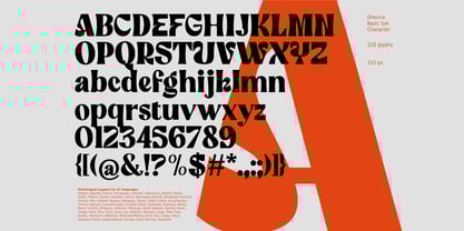 Dravica Font Poster 7