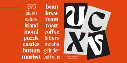 Dravica Font Poster 10