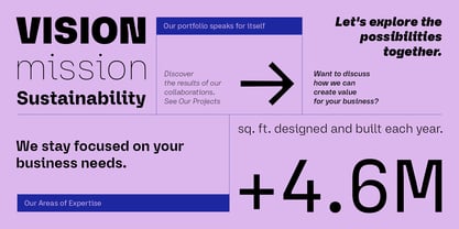 Anthine Font Poster 9