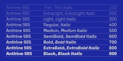 Anthine Font Poster 6