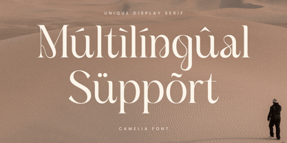 Camelia Font Poster 12