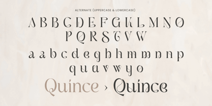 Camelia Font Poster 8