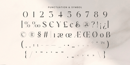 Camelia Font Poster 11