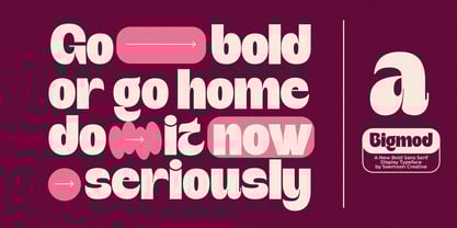 Bigmod Font Poster 7